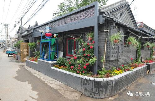 5月高招s忍2025爆料最新,揭秘忍者界新势力崛起 第1张 5月高招s忍2025爆料最新,揭秘忍者界新势力崛起 第1张