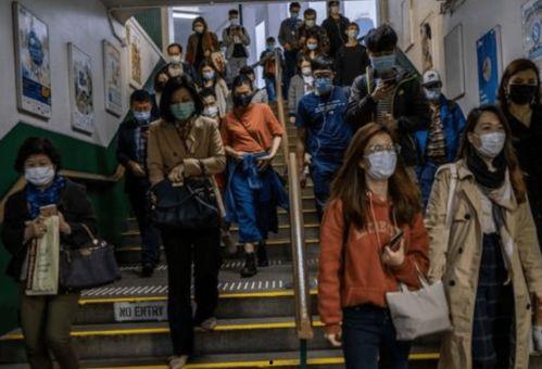 岛内民众爆料视频大全,真实记录社会百态 第1张 岛内民众爆料视频大全,真实记录社会百态 第1张