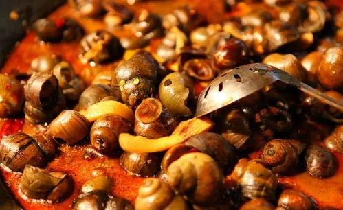 鲁菜爆料炒螺肉视频,炒螺肉视频大揭秘,家常美味轻松学 第1张 鲁菜爆料炒螺肉视频,炒螺肉视频大揭秘,家常美味轻松学 第1张