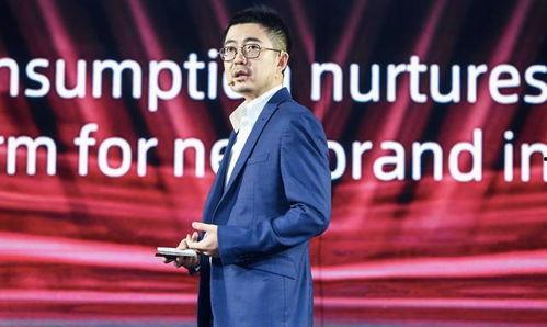 阿里和蒋凡最新爆料视频,揭秘与马云的冲突与真相 第1张 阿里和蒋凡最新爆料视频,揭秘与马云的冲突与真相 第1张